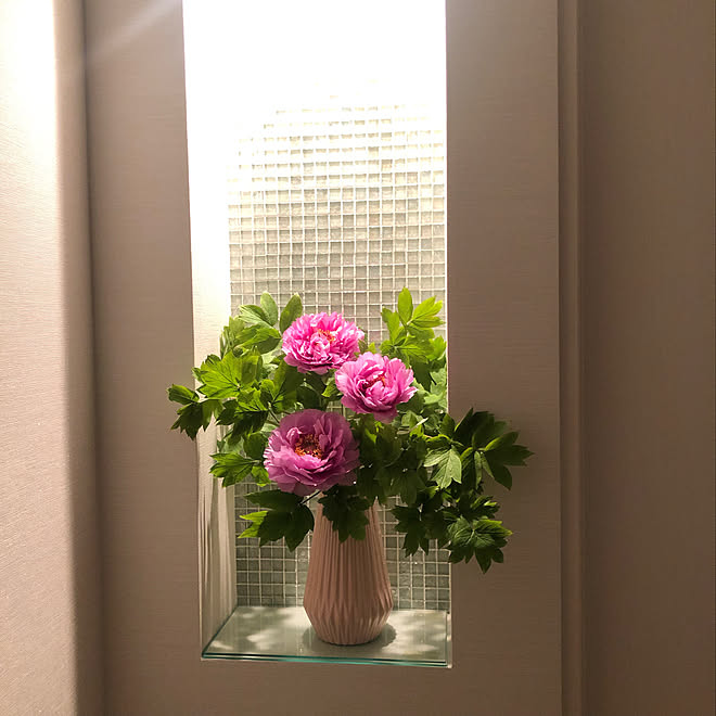 牡丹 庭の花をディスプレイ 庭の花を飾る ガラス タイル などのインテリア実例 19 04 29 59 44 Roomclip ルームクリップ 牡丹 庭の花をディスプレイ 庭の花を飾る ガラス タイル などのインテリア実例 19 04 29 59 44 Roomclip ルームクリップ