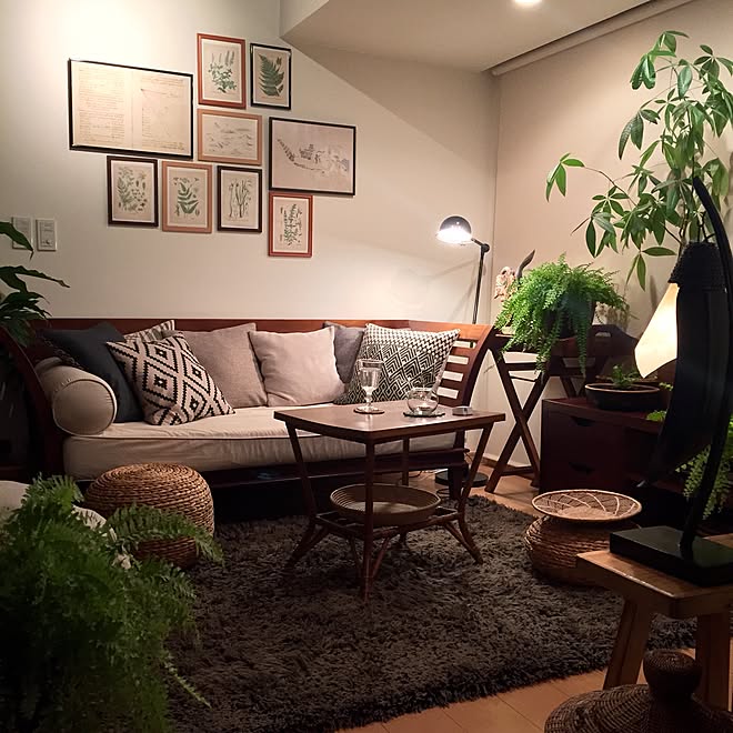 リビング 一人暮らし 間接照明 観葉植物 パキラ などのインテリア実例 17 06 13 21 24 53 Roomclip ルームクリップ