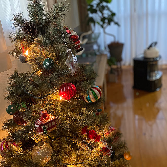 北欧 クリスマスツリー ガラスオーナメント ウンベラータ フィカスベンガレンシス などのインテリア実例 11 17 07 55 53 Roomclip ルームクリップ 北欧 クリスマスツリー ガラスオーナメント ウンベラータ フィカスベンガレンシス などのインテリア実例 11 17 07 55 53 Roomclip ルームクリップ