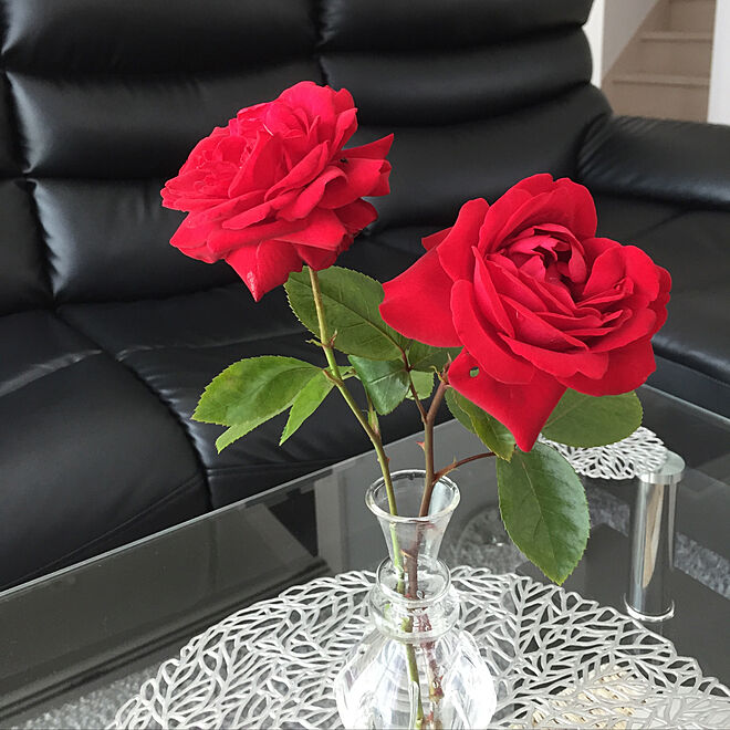薔薇のある暮らし 四季咲きバラ いいね コメント フォロー感謝 玄関前の花壇 机のインテリア実例 07 14 23 10 Roomclip ルームクリップ