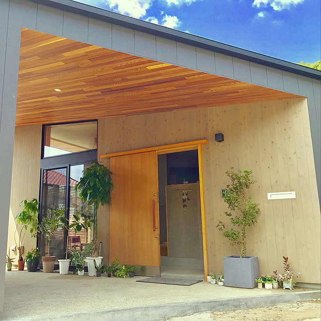 ロフトのある家 段差のある家 平屋の家 グリーンのある暮らし レッドシダー天井 などのインテリア実例 19 09 24 00 40 51 Roomclip ルームクリップ