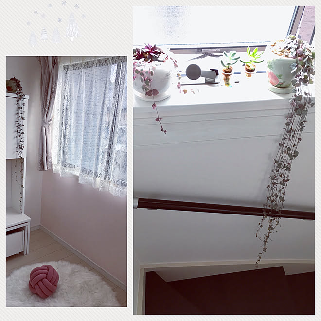 水耕栽培 ハートカズラ レディハート 多肉植物 多肉初心者 こどもと暮らす などのインテリア実例 19 10 29 15 13 09 Roomclip ルームクリップ