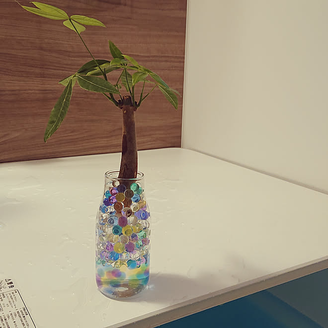 バス トイレ 観葉植物 Lixil 観葉植物のある暮らし グリーンのある暮らし などのインテリア実例 07 10 03 01 Roomclip ルームクリップ バス トイレ 観葉植物 Lixil 観葉植物のある暮らし グリーンのある暮らし などのインテリア実例 07 10 03 01 Roomclip ルームクリップ