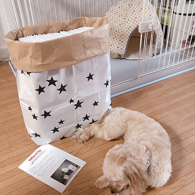 トイレマット収納 愛犬スペース ペーパーバッグ Rcプレゼント 犬のいる暮らし などのインテリア実例 19 07 27 13 43 09 Roomclip ルームクリップ