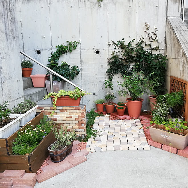 玄関 入り口 みどりのある暮らし レンガ 外階段下ガーデン レンガの壁 などのインテリア実例 19 06 19 11 27 57 Roomclip ルームクリップ
