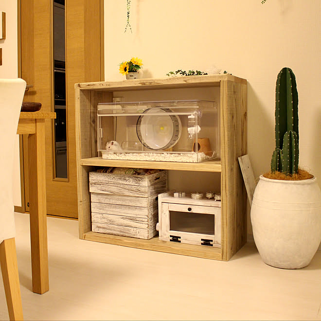 ねくすとショップ ニトリ アクリルケージ オーダー家具 Woodpro などのインテリア実例 19 07 11 21 54 58 Roomclip ルームクリップ