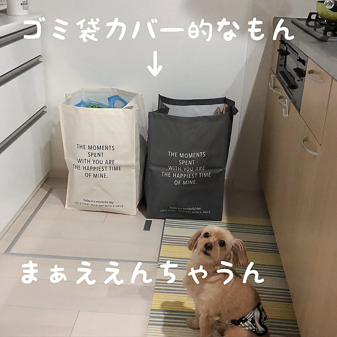 ダイソー ゴミ袋隠し キッチンマット わんこのいる暮らし ぼくの名前はばぶ などのインテリア実例 07 09 19 09 33 Roomclip ルームクリップ