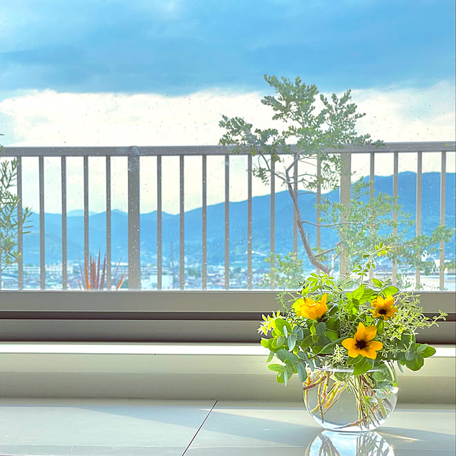 ルーフバルコニー 花のある暮らし ベランダの花 ベランダー ロータス アップルミント などのインテリア実例 21 06 11 22 40 25 Roomclip ルームクリップ