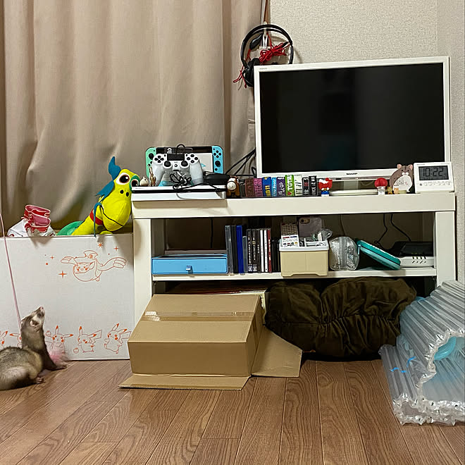 テレビ台周辺 ゲーム置き場 ペットのいる暮らし フェレットと暮らす 一人暮らしのインテリア実例 09 23 22 36 31 Roomclip ルームクリップ