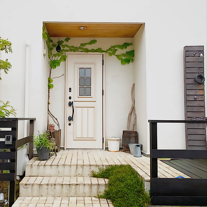 流木ディスプレイ ワイヤープランツ 外シャワー 夏ヅタ ウッドデッキ などのインテリア実例 05 13 13 19 33 Roomclip ルームクリップ