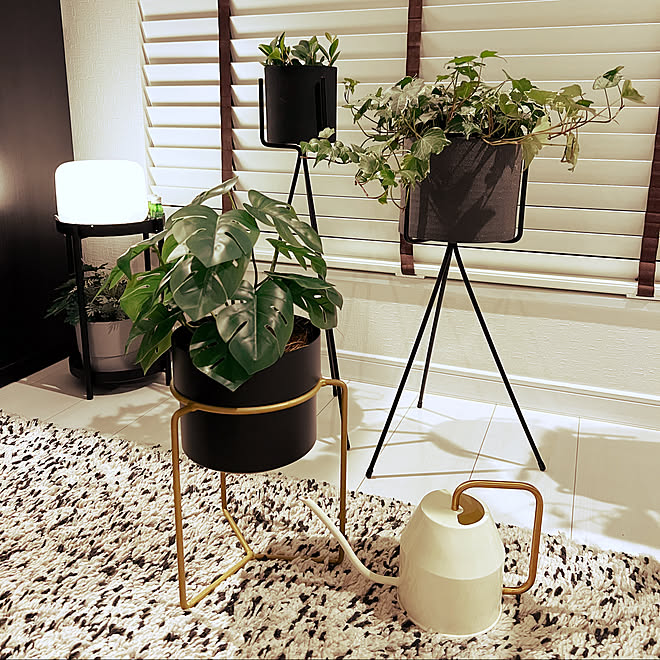 アクタス ゴールドインテリア Ikea 無印良品 観葉植物 などのインテリア実例 21 12 21 17 27 36 Roomclip ルームクリップ