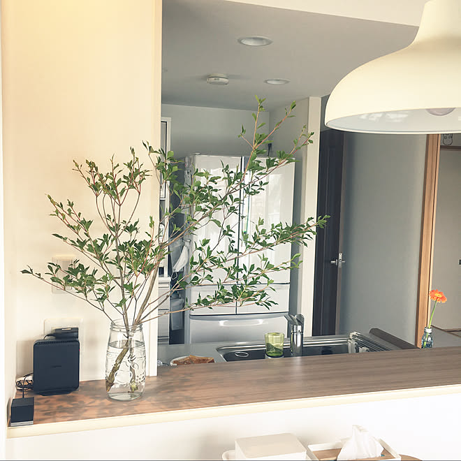 ではない どうだんつつじ どうだんツツジ ツツジ ダイニングからの眺め などのインテリア実例 07 07 23 47 44 Roomclip ルームクリップ