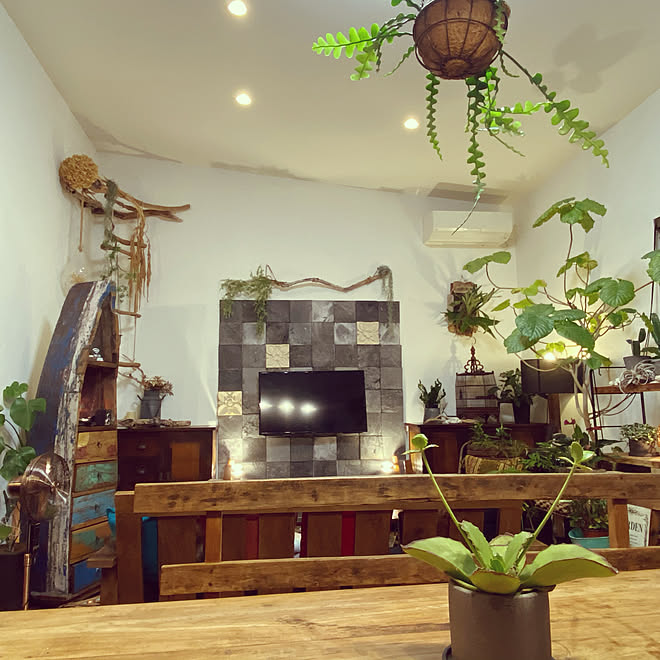 植物 雑貨 カフェ風 鳥籠 アジアンインテリア などのインテリア実例 21 01 25 06 48 47 Roomclip ルームクリップ