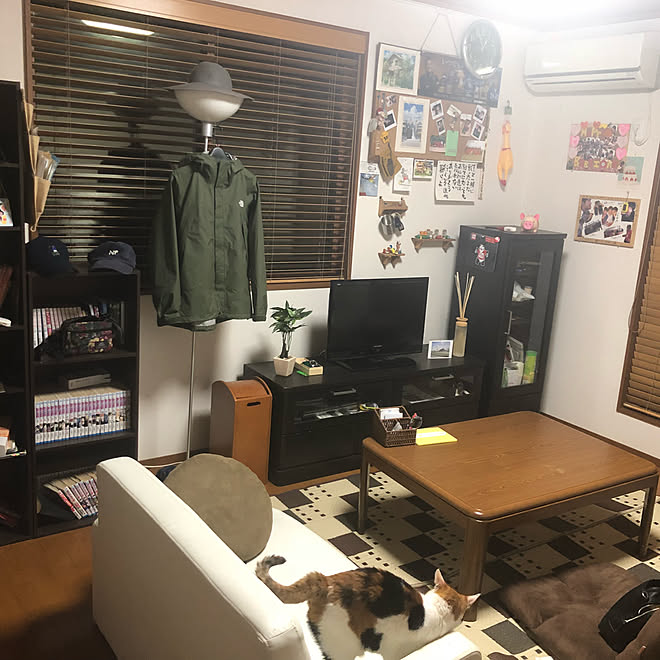部屋全体 おしゃれな部屋にしたい ねこ 観葉植物 無印良品 などのインテリア実例 18 07 21 18 40 43 Roomclip ルームクリップ