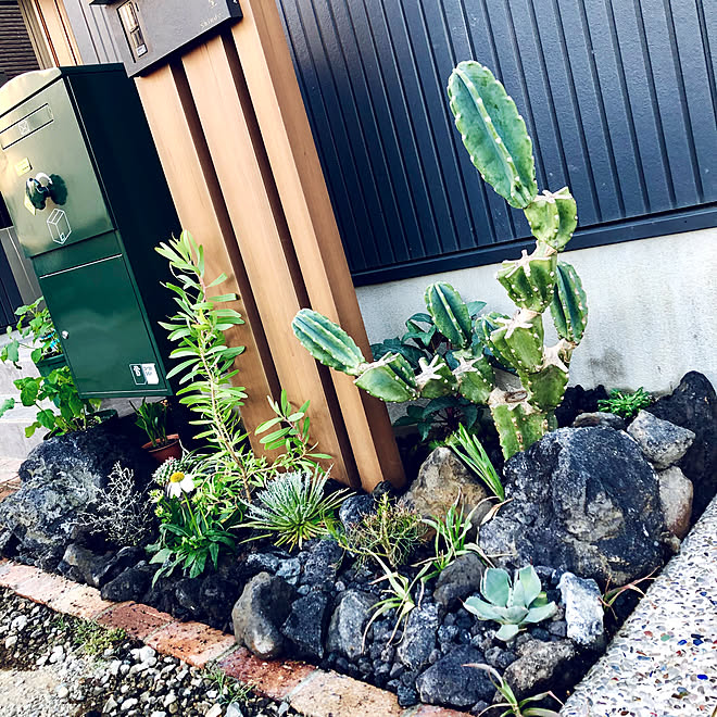 ドライガーデン風 ロックガーデン風 植栽スペース 外構diy サボテン などのインテリア実例 05 14 18 51 04 Roomclip ルームクリップ ドライガーデン風 ロックガーデン風 植栽スペース 外構diy サボテン などのインテリア実例 05 14 18 51 04 Roomclip ルームクリップ
