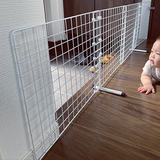 0歳7ヶ月 ダイソー セリア ベビーフェンスdiy ベビーフェンス などのインテリア実例 22 09 21 13 52 47 Roomclip ルームクリップ