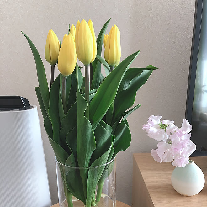 花のある暮らし チューリップ スイートピー お花のある暮らし 無印良品 などのインテリア実例 03 26 07 53 49 Roomclip ルームクリップ