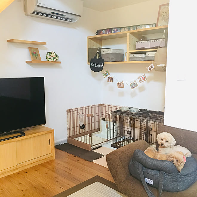 わんこと暮らす家 トイプードルと暮らす トイプードル多頭飼い ペット収納 わんこゲージ などのインテリア実例 19 05 12 16 44 32 Roomclip ルームクリップ