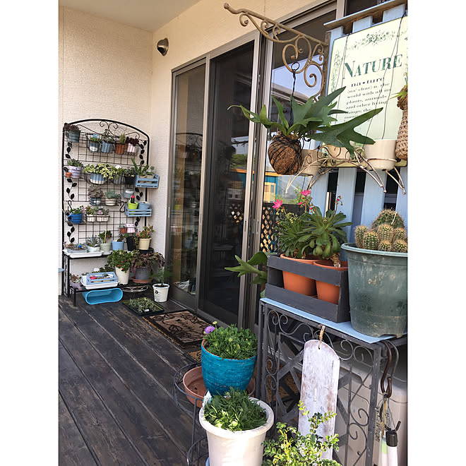 バス トイレ アンティーク棚受け コウモリラン 多肉棚 ガーデニング などのインテリア実例 18 05 15 07 11 25 Roomclip ルームクリップ