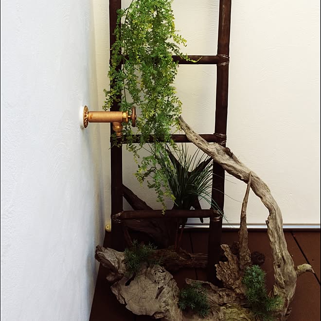 玄関 入り口 流木インテリア 流木ディスプレイ 流木 蛇口 などのインテリア実例 16 03 22 24 15 Roomclip ルームクリップ