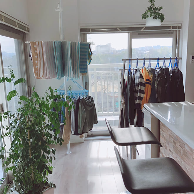 部屋干し マンション ブラインド 観葉植物 突っ張りポールハンガーのインテリア実例 19 02 25 15 42 50 Roomclip ルームクリップ