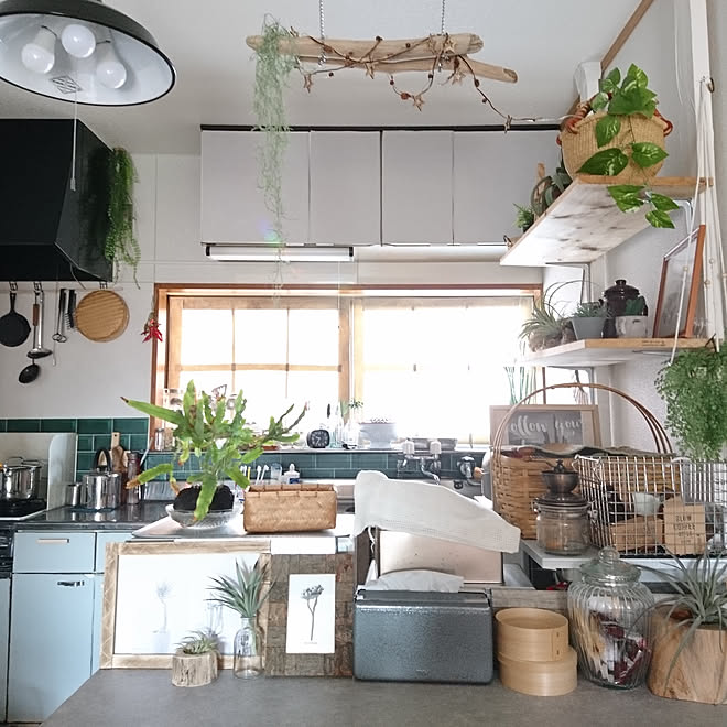 キッチン 賃貸 昭和物件 グリーンのある暮らし No Green No Life などのインテリア実例 18 12 09 21 46 12 Roomclip ルームクリップ