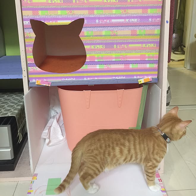 リビング/猫トイレ/自作猫トイレ/ねこ部/DIYのインテリア実例 20150820 175346 ｜ RoomClip（ルームクリップ）