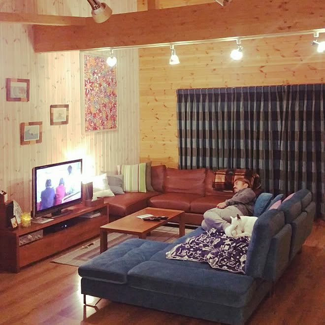 リビング ソファー 犬のいる暮らし ビーチハウス サーファーズハウス などのインテリア実例 17 04 28 23 12 50 Roomclip ルームクリップ