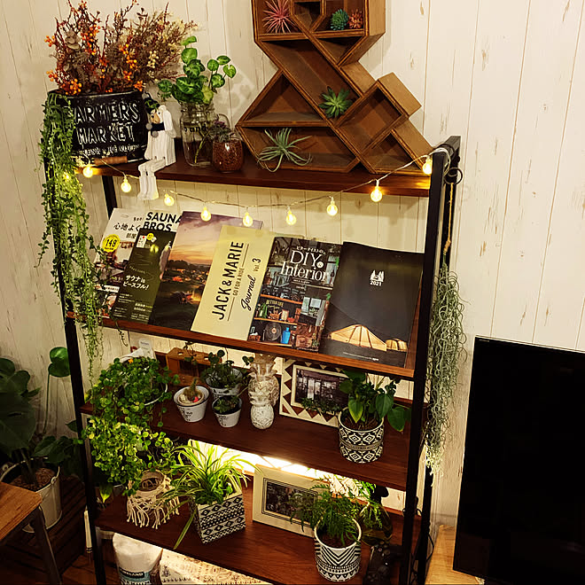 植物 Niko And ライトアップ リビングの一角 雑貨大好き などのインテリア実例 21 05 04 23 15 03 Roomclip ルームクリップ 植物 Niko And ライトアップ リビングの一角 雑貨大好き などのインテリア実例 21 05 04 23 15 03 Roomclip ルームクリップ