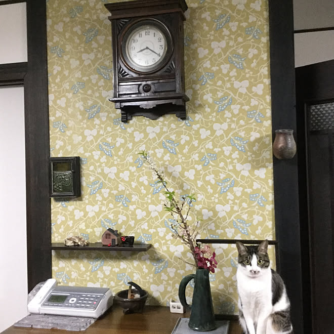 リビング 竹久夢二壁紙 ねこ Diy 陶芸作品 などのインテリア実例 18 03 06 28 40 Roomclip ルームクリップ