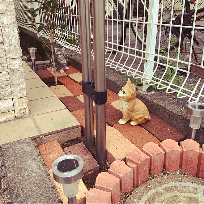 ケイヨーd2 コーナン 花壇 猫 アニマルオーナメント などのインテリア実例 21 09 26 17 16 05 Roomclip ルームクリップ