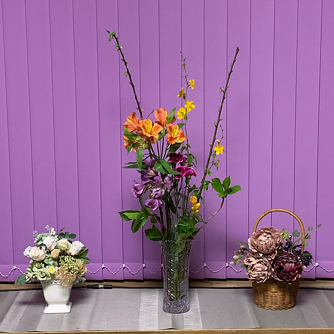 ロイヤリティフリーメリア 花 最高の花の画像