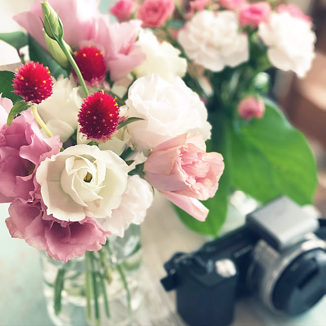 ラブリートイレ 花 飾る すべての美しい花の画像