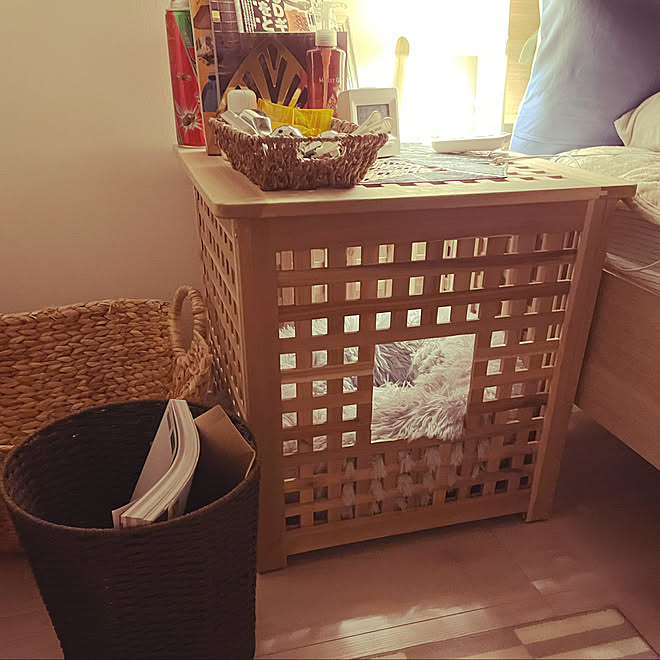 IKEA HOL ホール サイドテーブル 収納