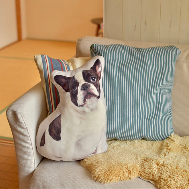 ニトリソファー ラルフローレン ソファーまわり 犬好き ニトリのクッション などのインテリア実例 21 03 11 08 48 50 Roomclip ルームクリップ ニトリソファー ラルフローレン ソファーまわり 犬好き ニトリのクッション などのインテリア実例 21 03 11 08 48 50 Roomclip ルームクリップ