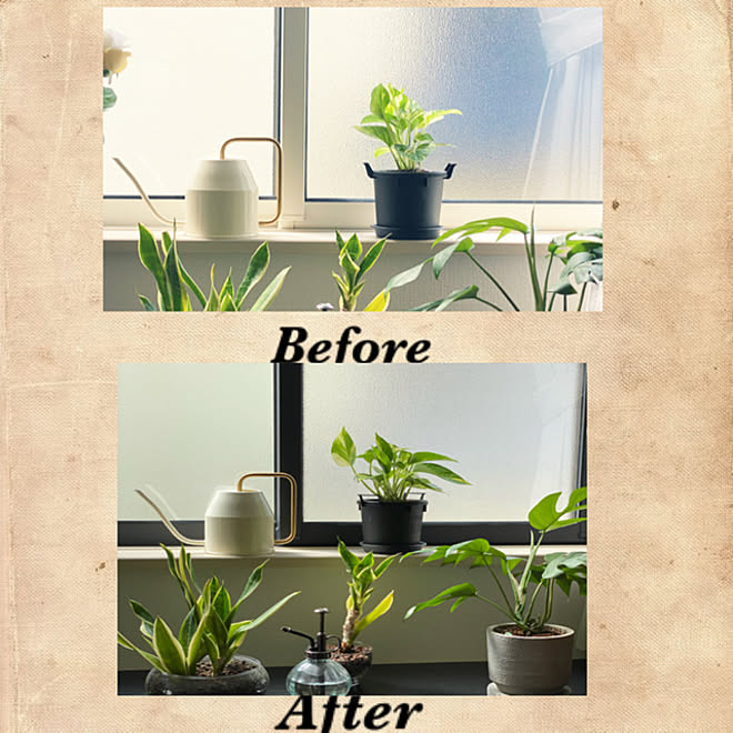 窓枠diy 観葉植物 リビングのインテリア実例 10 03 11 28 15 Roomclip ルームクリップ 窓枠diy 観葉植物 リビングのインテリア実例 10 03 11 28 15 Roomclip ルームクリップ