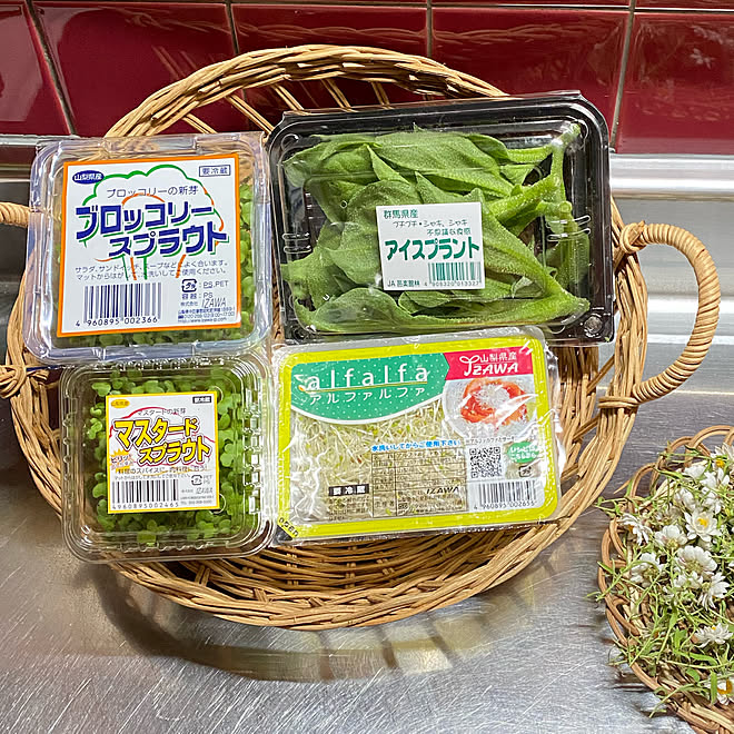 一山 100円 アルファルファ アイスプラント ブロッコリー マスタードスプラウト スプラウトてんこ盛り 3月 11日東日本大震災日 などのインテリア実例 03 11 13 42 22 Roomclip ルームクリップ 一山 100円 アルファルファ アイスプラント ブロッコリー マスタードスプラウト スプラウトてんこ盛り 3月 11日東日本大震災日 などのインテリア実例 03 11 13 42 22 Roomclip ルームクリップ