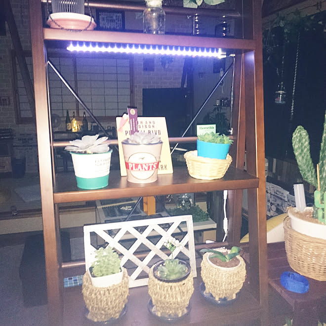 棚/DIY/メンズ部屋/観葉植物/室内グリーンのインテリア実例 20180702 215645 ｜ RoomClip（ルームクリップ）