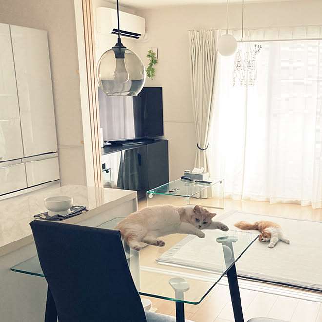 モノトーンインテリア 大東建託 2dk 賃貸 掃除しやすく シンプル などのインテリア実例 21 08 23 13 38 47 Roomclip ルームクリップ