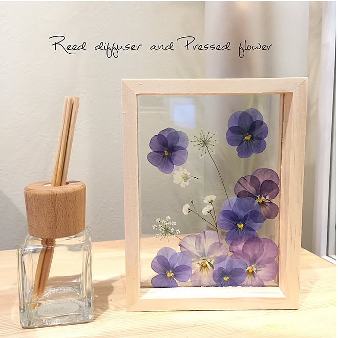 さくら草 かすみ草 レースフラワー ビオラ 押し花 などのインテリア実例 17 02 09 17 28 31 Roomclip ルームクリップ