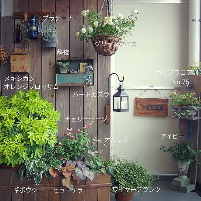 バス トイレ メキシカンオレンジブロッサム ガーデニング ハンドメイド 手作り などのインテリア実例 06 04 12 59 58 Roomclip ルームクリップ