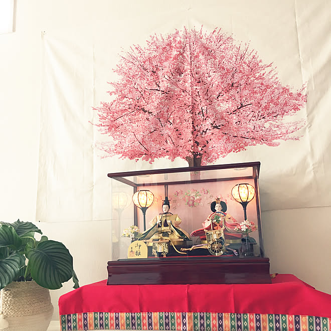雛人形 カラテアオルビフォリア 今年はシンプルにしました ひな祭り こどものいる暮らし などのインテリア実例 21 02 19 12 44 Roomclip ルームクリップ