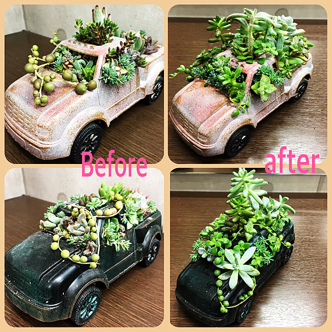 セリアの おもちゃの車リメイク 多肉植物 多肉植物寄せ植え 多肉植物大好き 癒し などのインテリア実例 17 10 27 12 57 29 Roomclip ルームクリップ
