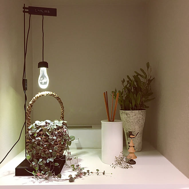 植物育成ライト ハートカズラ 暮らしを変えたもの 癒しの空間 植物のある暮らし などのインテリア実例 02 07 15 26 37 Roomclip ルームクリップ