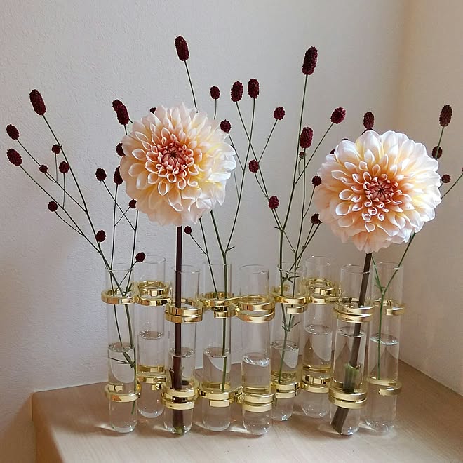 玄関 入り口 模様替え ワレモコウ ダリア ツェツェ風 などのインテリア実例 16 09 09 06 31 50 Roomclip ルームクリップ