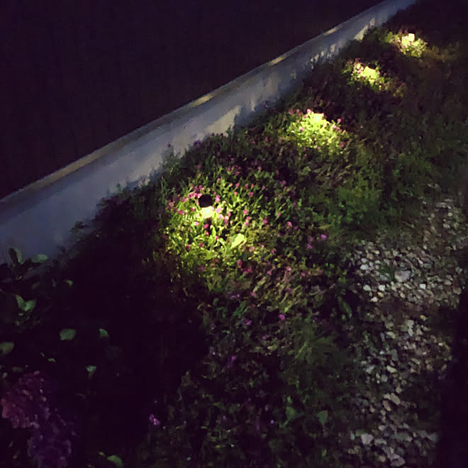 北側の庭 ソーラーライト こどもと暮らす シンプルな暮らし ダイソー などのインテリア実例 19 07 12 19 47 32 Roomclip ルームクリップ