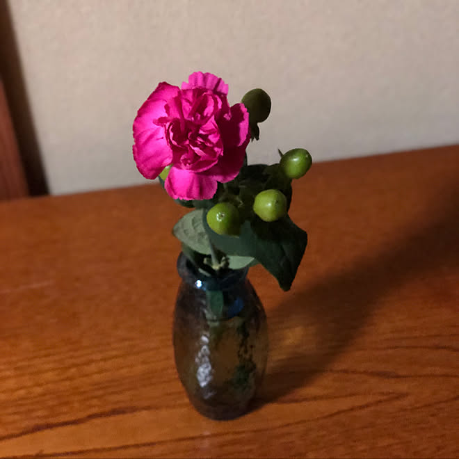 観葉植物 庭のお花 生花を飾る 家具 雑貨 玄関 入り口のインテリア実例 22 04 06 21 02 41 Roomclip ルームクリップ 観葉植物 庭のお花 生花を飾る 家具 雑貨 玄関 入り口のインテリア実例 22 04 06 21 02 41 Roomclip ルームクリップ