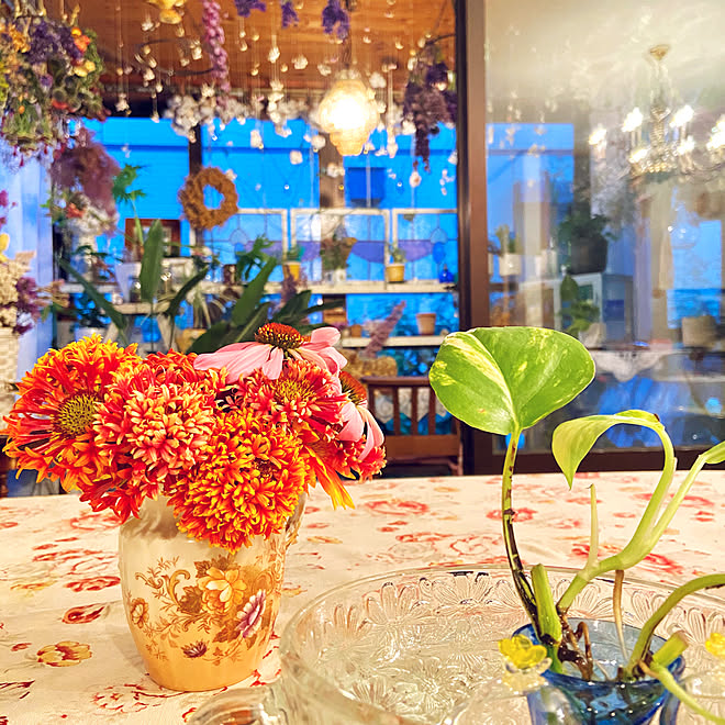 水挿しポトス 観葉植物 アレンジメント 花のある暮らし 花が好き などのインテリア実例 07 06 26 58 Roomclip ルームクリップ