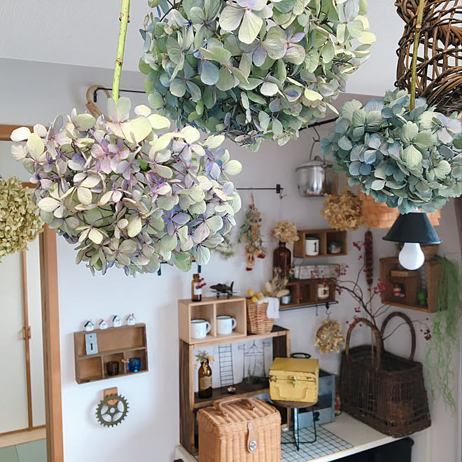 かご 紫陽花 あじさい 癒し たなdiy などのインテリア実例 08 04 07 15 11 Roomclip ルームクリップ
