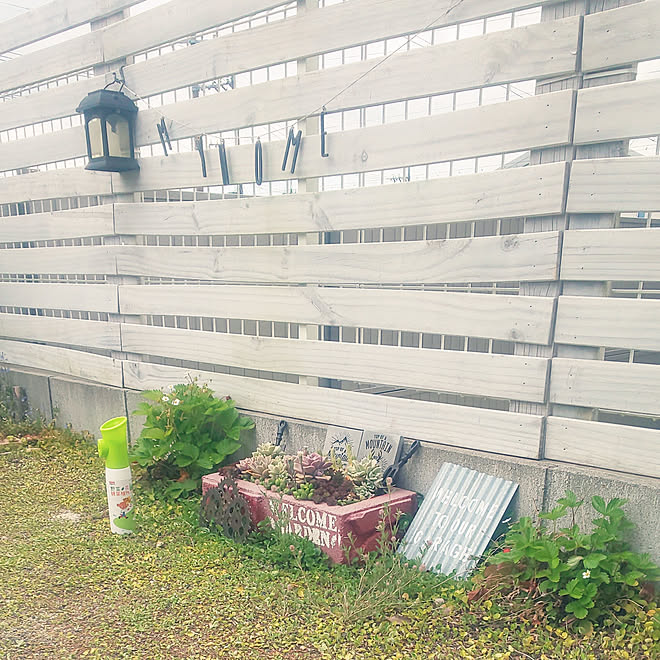 ガーデニング 植物のある暮らし 害虫対策 アースガーデン 土にまくだけ害虫退治オールスター などのインテリア実例 05 08 23 15 Roomclip ルームクリップ